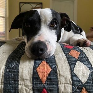 Meet your Posher, Denise